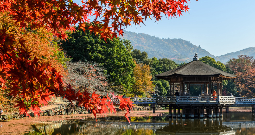 奈良公園 奈良公園