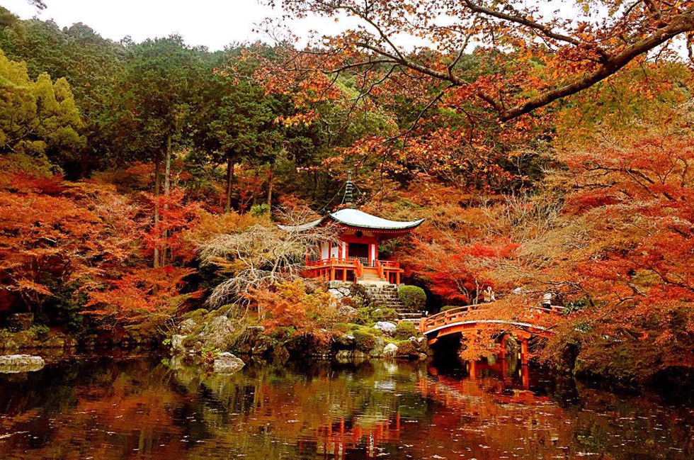 日本醍醐寺 日本醍醐寺