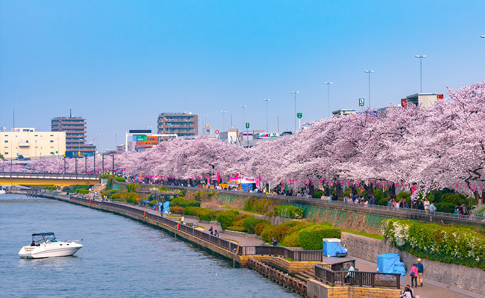 隅田公園 隅田公園
