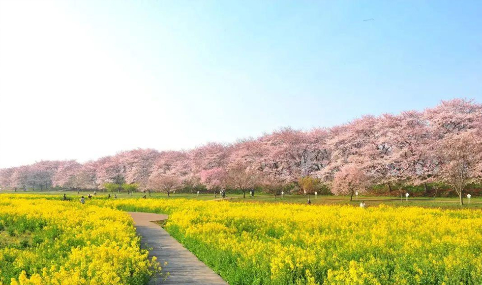 幸手權現堂公園 幸手權現堂公園