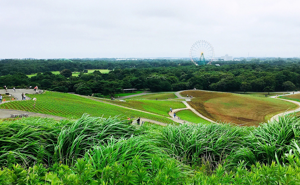 國營常陸海濱公園2