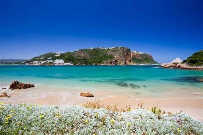 奈斯納(Knysna1 奈斯納(Knysna1