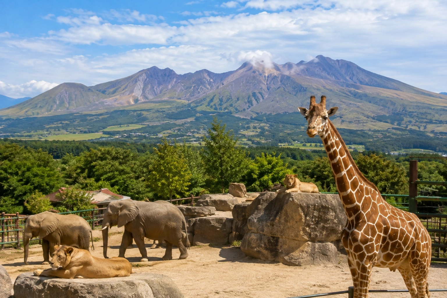 1785916989282935.webp 阿蘇卡德利動物樂園.webp