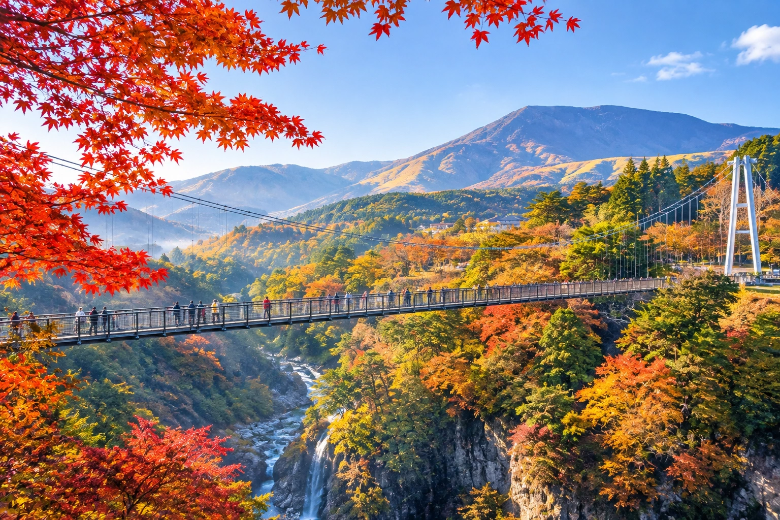 1785974470952011.webp 九重夢吊橋場.webp