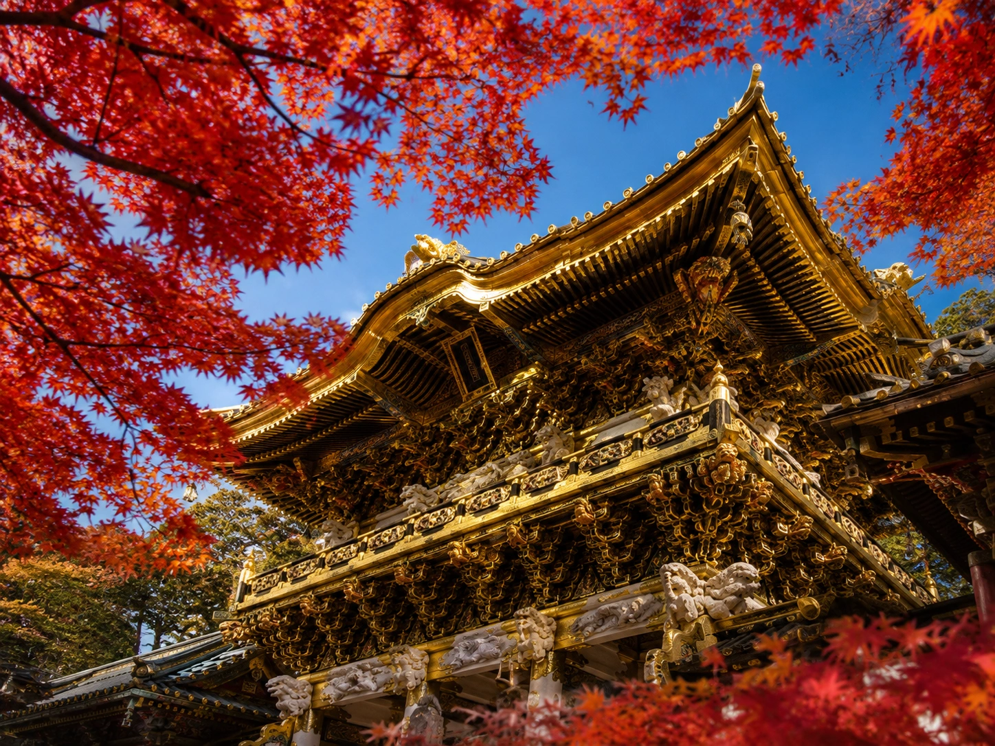 1786170341231310.webp 日光東照宮.webp