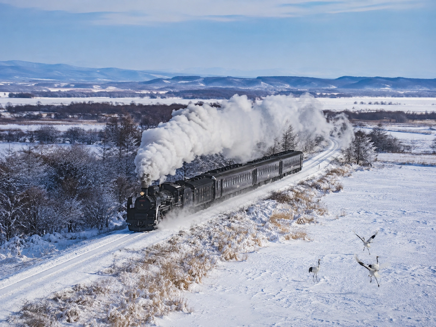 1786774105211612.webp SL冬溼原蒸汽火車.webp