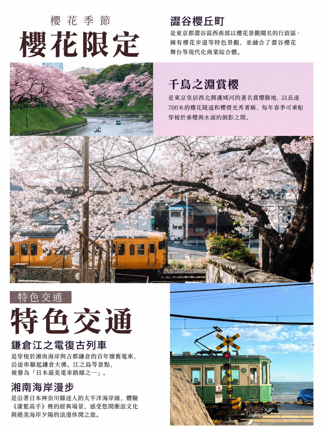 1787133169687101.webp